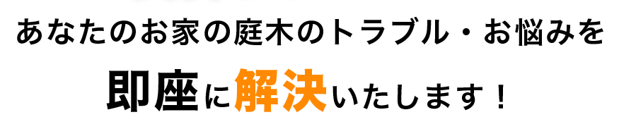 あなたのお家の庭木のトラブル・お悩みを望月グループは即座に解決いたします！